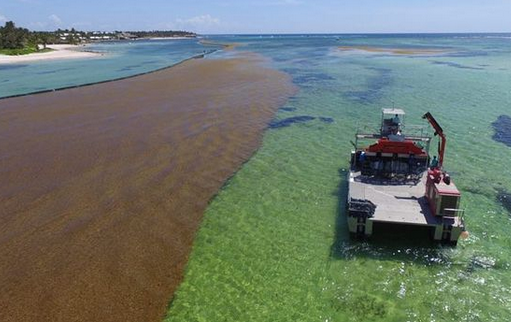 boat removal