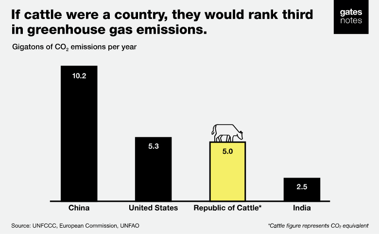 gatesnote cows methane